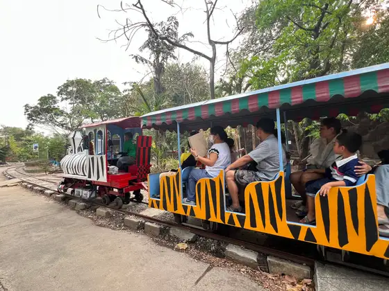 Mini train tour