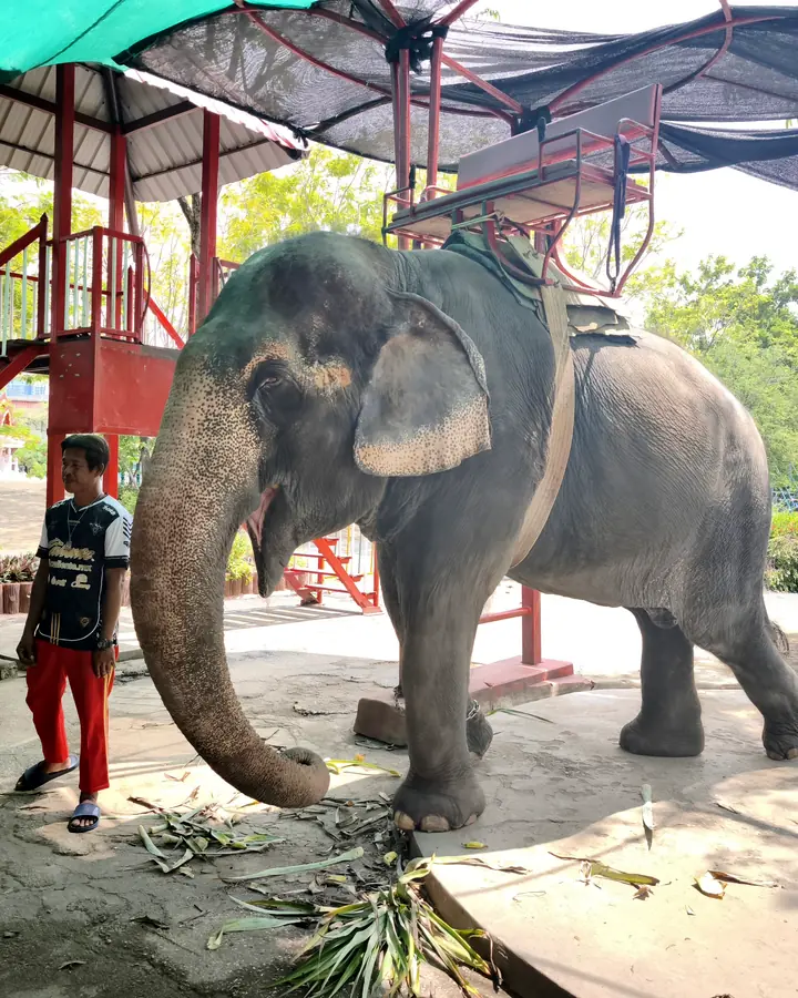 ยายบุญมี